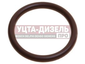 Изображение раздела кольцо камаз уплотнительное суппорта vitocom