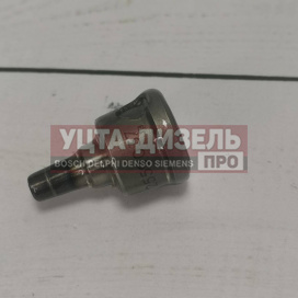 Изображение раздела нагнетательный клапан 2418559037 lutong