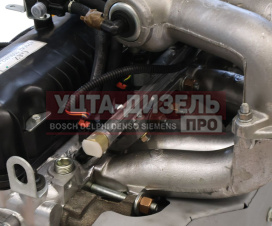 Изображение раздела двигатель умз-421647 (под гбо) газ-3302 бизнес евро-4,с гидрокомпенсаторами (оао умз) №