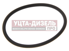 Изображение раздела кольцо уплотнительное камаз-5490 mercedes турбокомпрессора elring