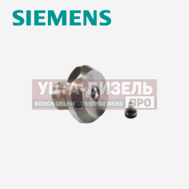 Изображение раздела клапан пьезо-форсунки continental (siemens/vdo)
