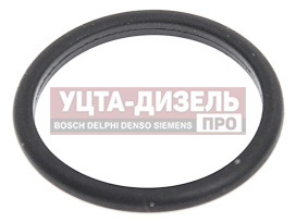 Изображение раздела кольцо уплотнительное jac n75,n120 (isf 3.8) камаз компас-9/12 пробки масляного картера oe