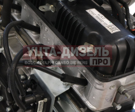 Изображение раздела двигатель умз-421647 (под гбо) газ-3302 бизнес евро-4,с гидрокомпенсаторами (оао умз) №