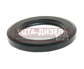 Изображение раздела кольцо камаз балансира прицепа-9693