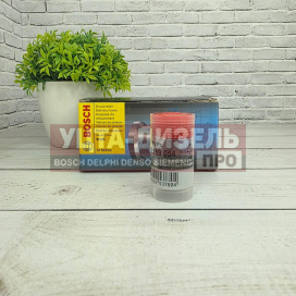 Изображение раздела нагнетательный клапан bosch 2418559054