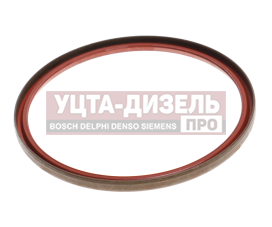 Изображение раздела кольцо камаз-6580 уплотнительное шкворня hande axle (оао камаз)