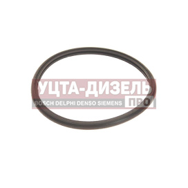 Изображение раздела кольцо газ-3302 дв.cummins isf 2.8 уплотнительное термостата movelex