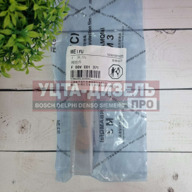 Изображение раздела клапан со штоком weifu f00vc01371 bosch